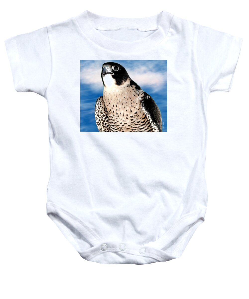 Peregrine Falcon Baby Onesie featuring the photograph Peregrine Falcon by Rose Santuci-Sofranko