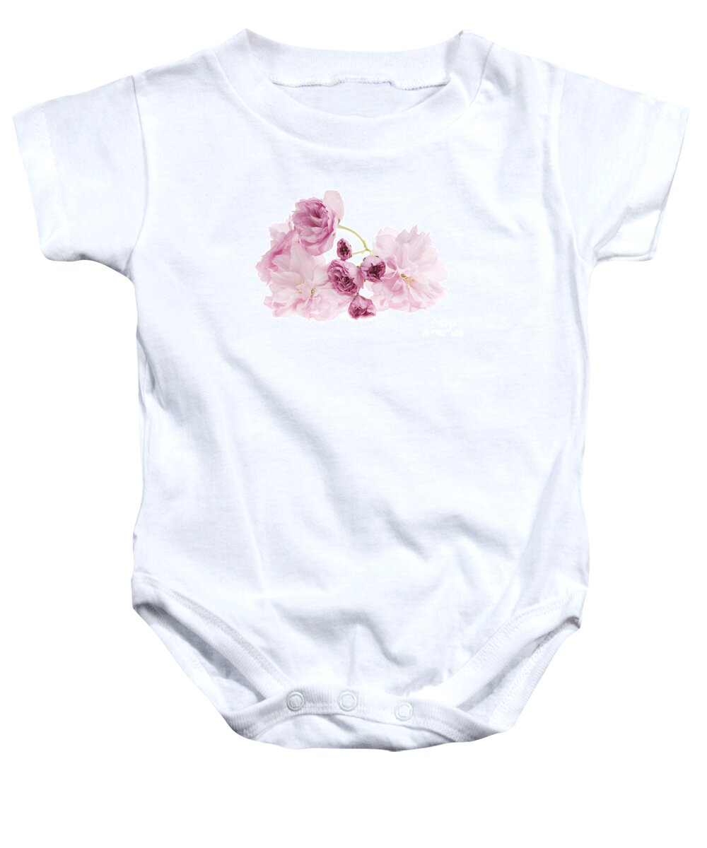 Cherry Baby Onesie featuring the photograph Pink cherry blossoms by Elena Elisseeva