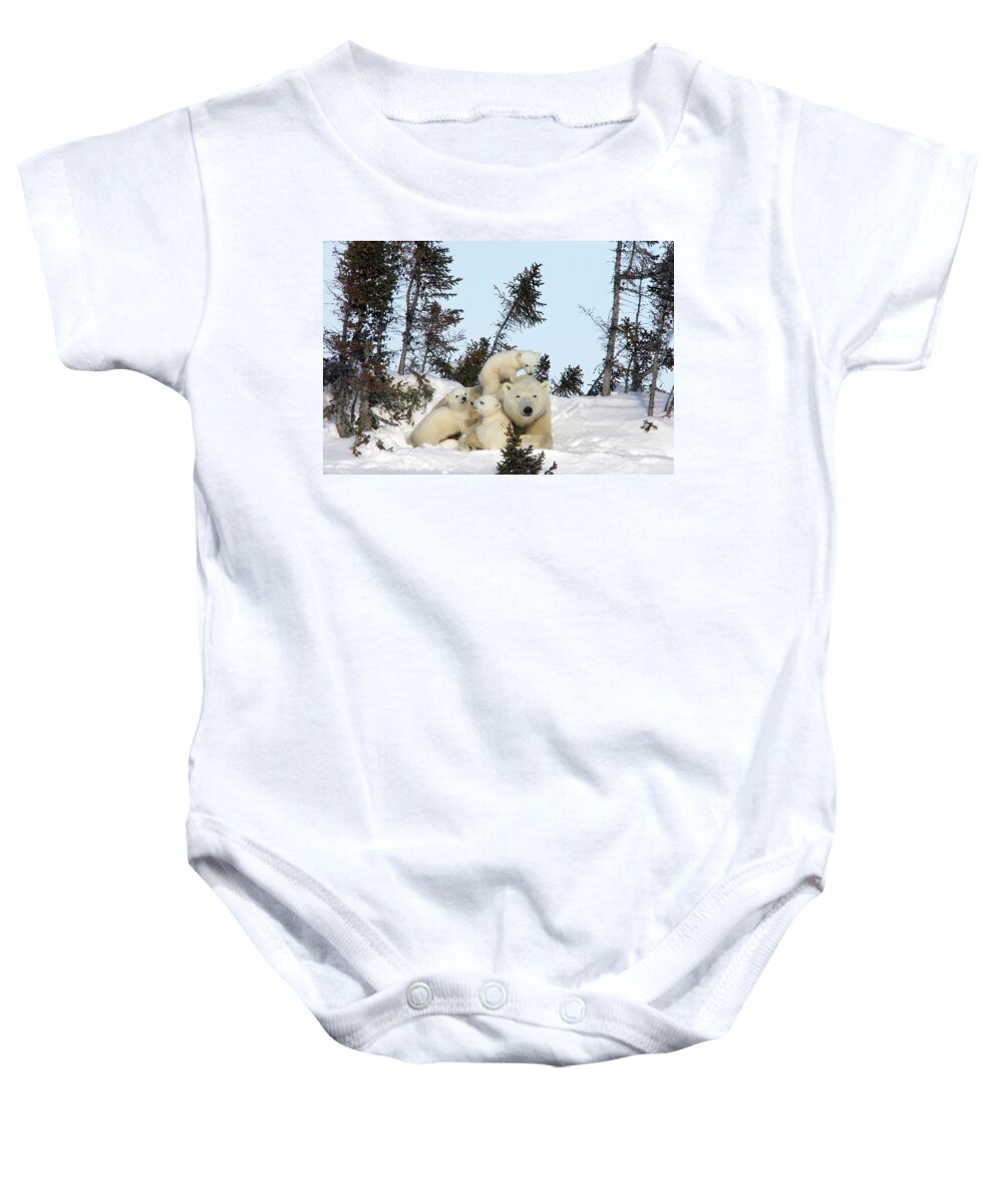 00600983 Baby Onesie featuring the photograph Polar Bear and Trio of Cubs by Matthias Breiter
