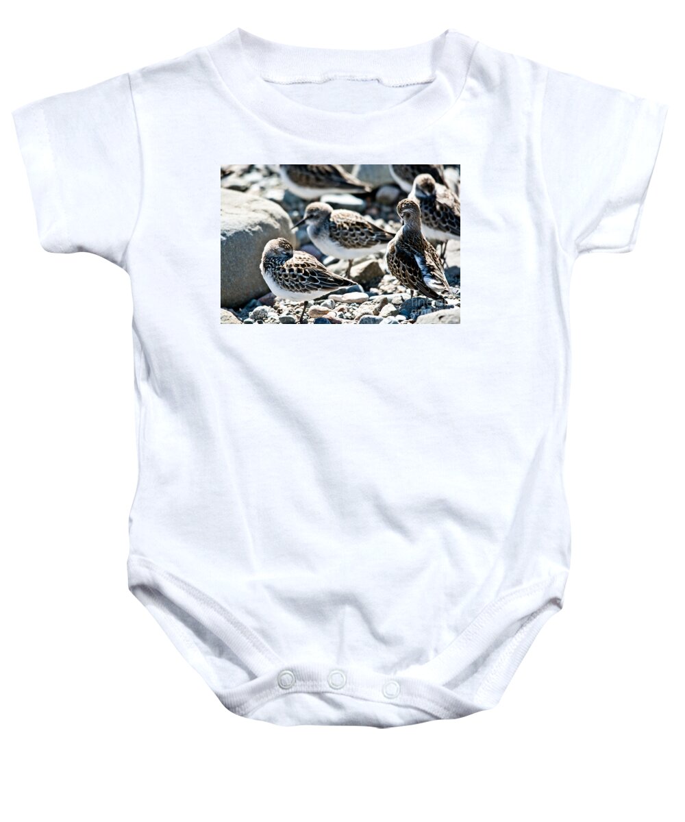  Baby Onesie featuring the photograph Preening and Sleeping by Cheryl Baxter