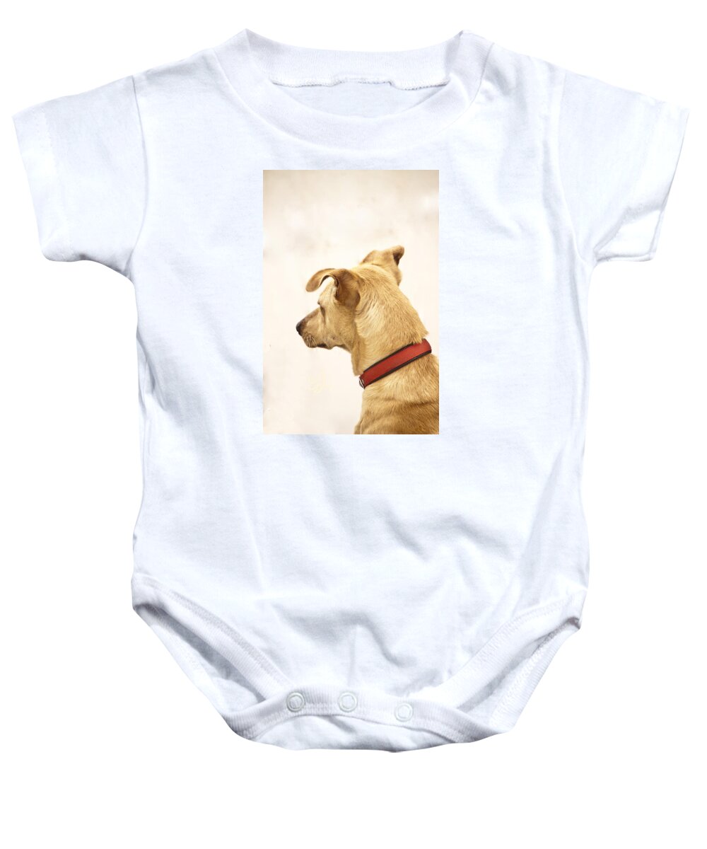 Dog Baby Onesie featuring the photograph Rest In Peace My Teddy by Music of the Heart