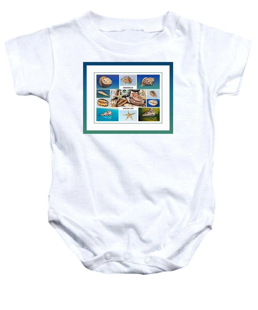 Seashell Collection Baby Onesie featuring the photograph Seashell Collection 4 - Collage by Kaye Menner