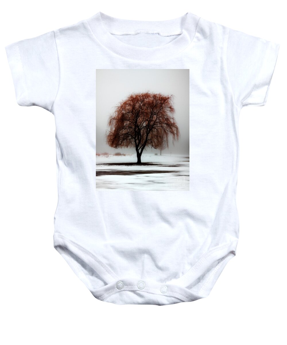 Weeping Willow Baby Onesie featuring the photograph Sleeping Willow by Rick Kuperberg Sr