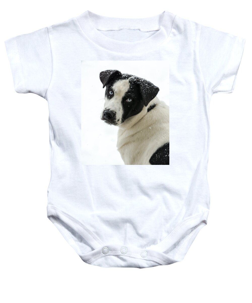 Dog Baby Onesie featuring the photograph Snow Puppy by Holden The Moment