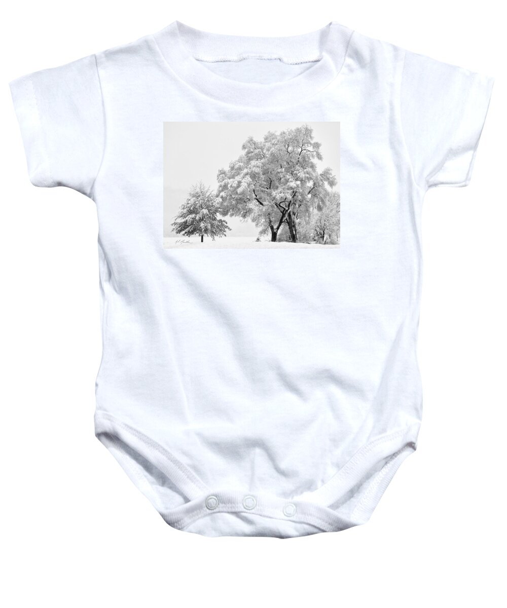 Snow Baby Onesie featuring the photograph Snowstorm swing by Al Mueller