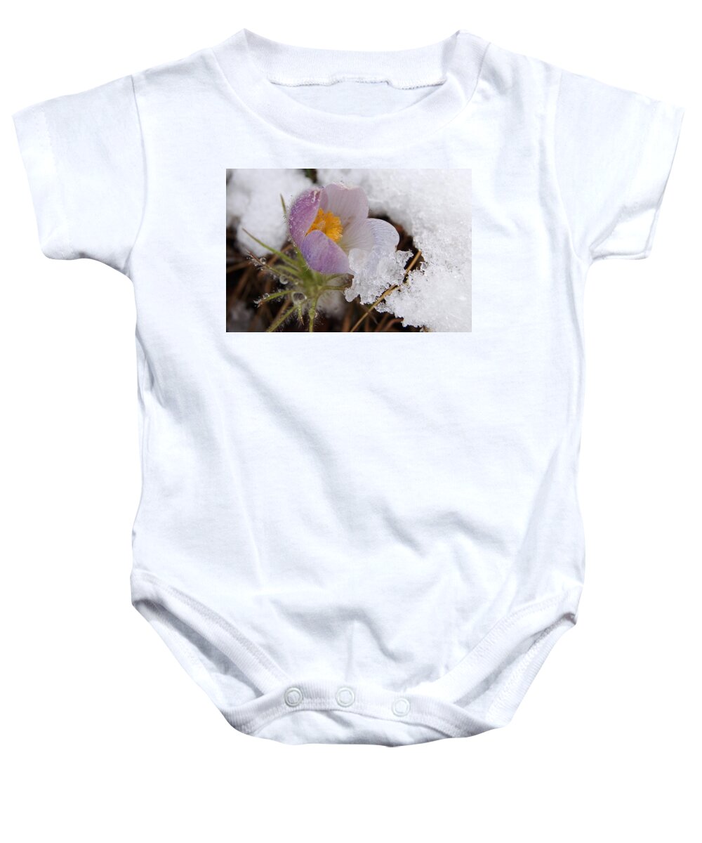 Dakota Baby Onesie featuring the photograph Snowy Pasqueflower by Greni Graph