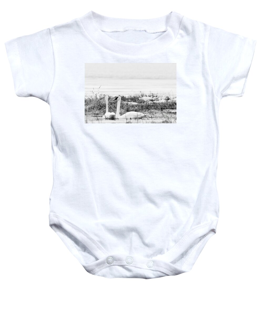 Trumpeter Swan Baby Onesie featuring the photograph Spring Romance by Cheryl Baxter