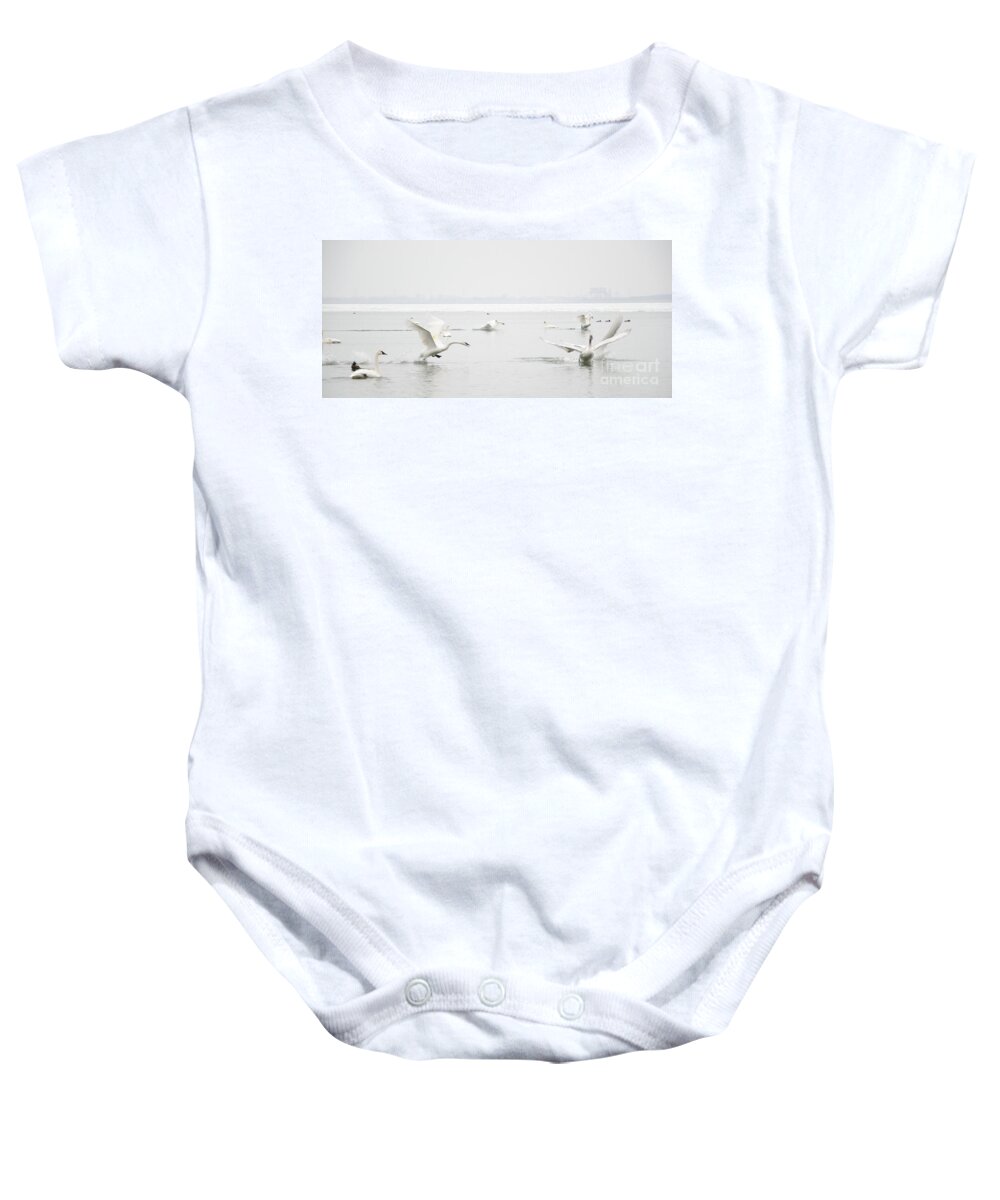 Swan Baby Onesie featuring the photograph Swan Fight by Laurel Best