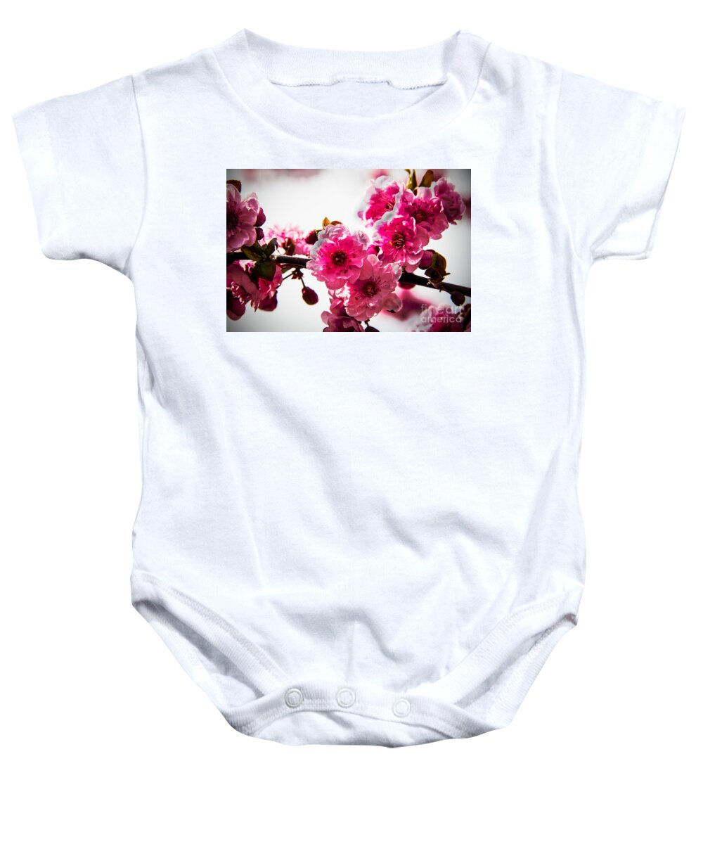 Flowering Trees Baby Onesie featuring the photograph The Pink Flowering Tree by Robert Bales