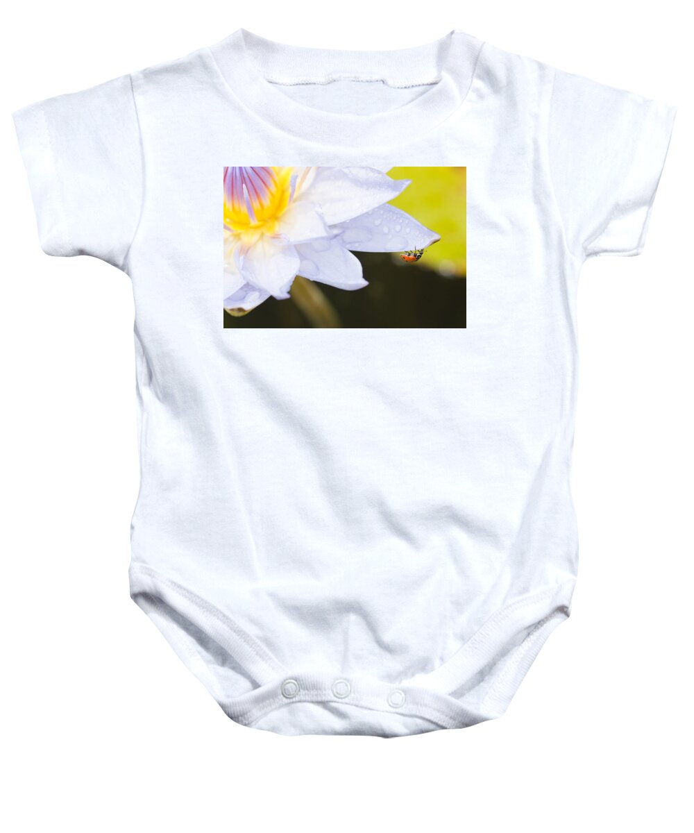 Ladybug Baby Onesie featuring the photograph Tropical Adventure by Priya Ghose