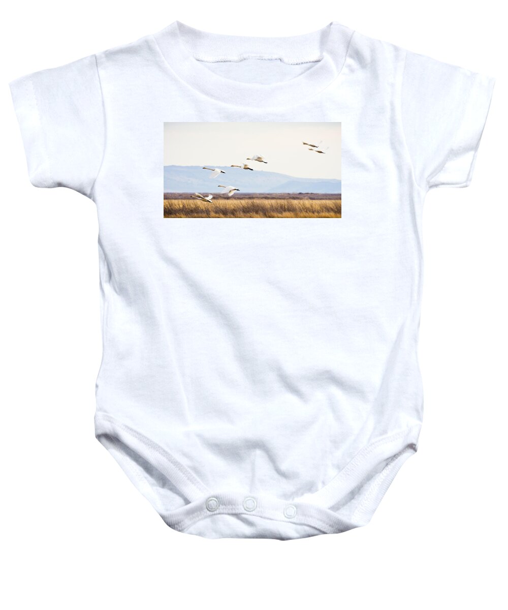 Tundra Swan Baby Onesie featuring the photograph Tundra Swans In Flight by Priya Ghose