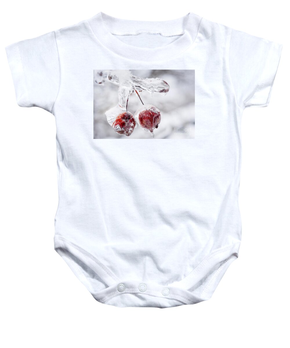 Crabapples Baby Onesie featuring the photograph Two frozen crab apples by Elena Elisseeva