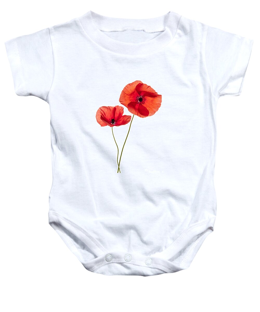 Poppy Baby Onesie featuring the photograph Two poppy flowers by Elena Elisseeva