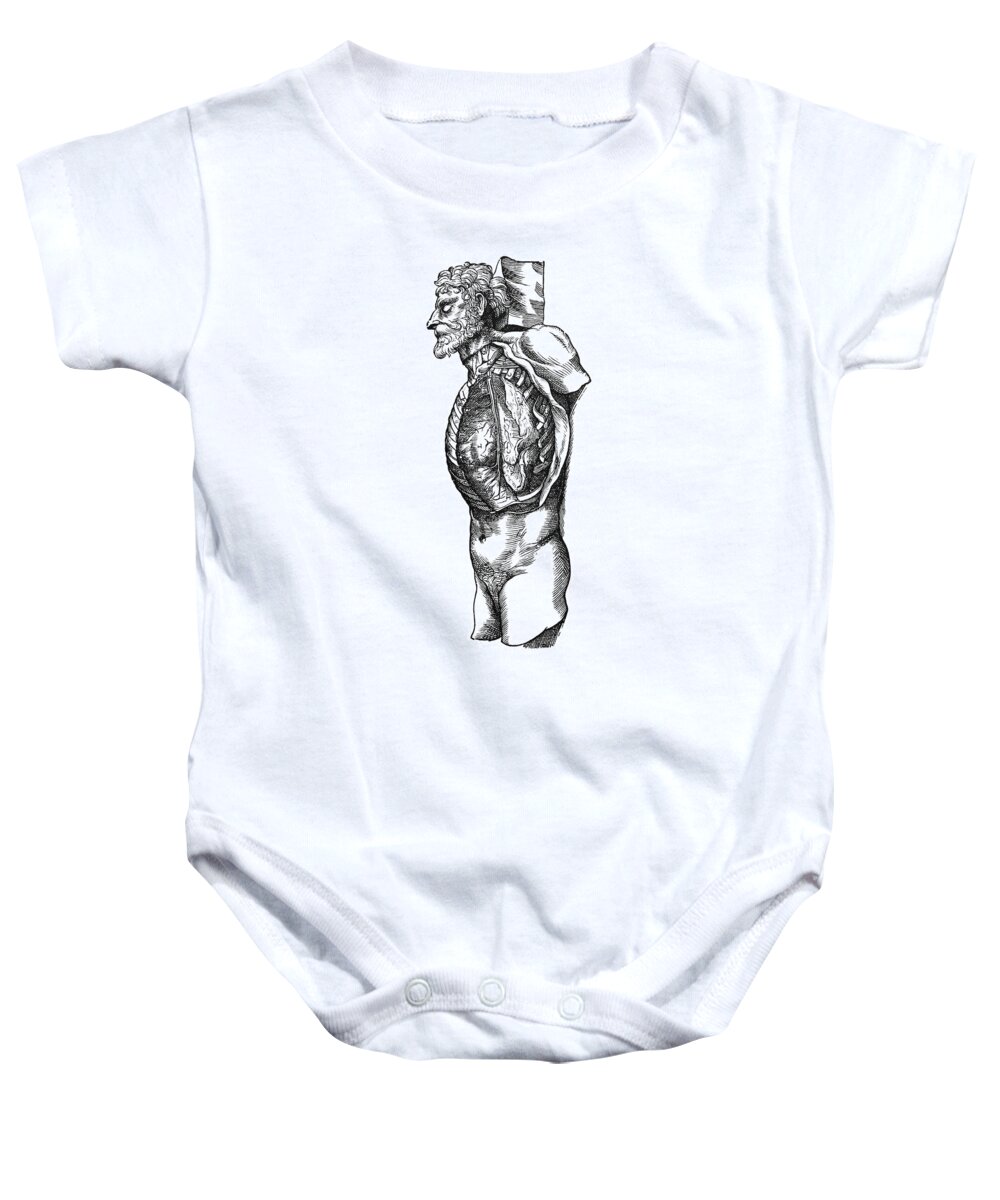 1543 Baby Onesie featuring the photograph Vesalius: Thoracic Cavity by Granger