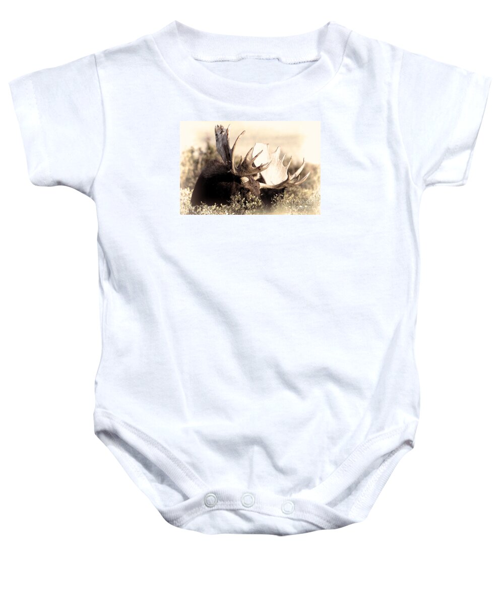 Moose Baby Onesie featuring the photograph Wear a Crown by Jim Garrison