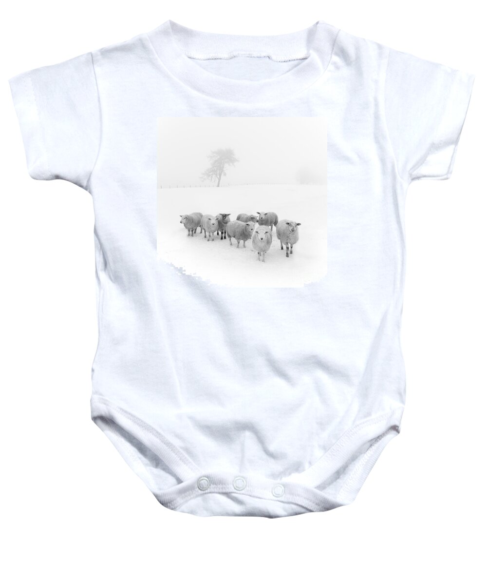 #faatoppicks Baby Onesie featuring the photograph Winter Woollies by Janet Burdon