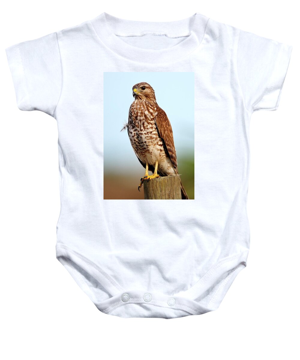 Red Baby Onesie featuring the photograph Portrait of a Red shouldered Hawk #1 by Bill Dodsworth