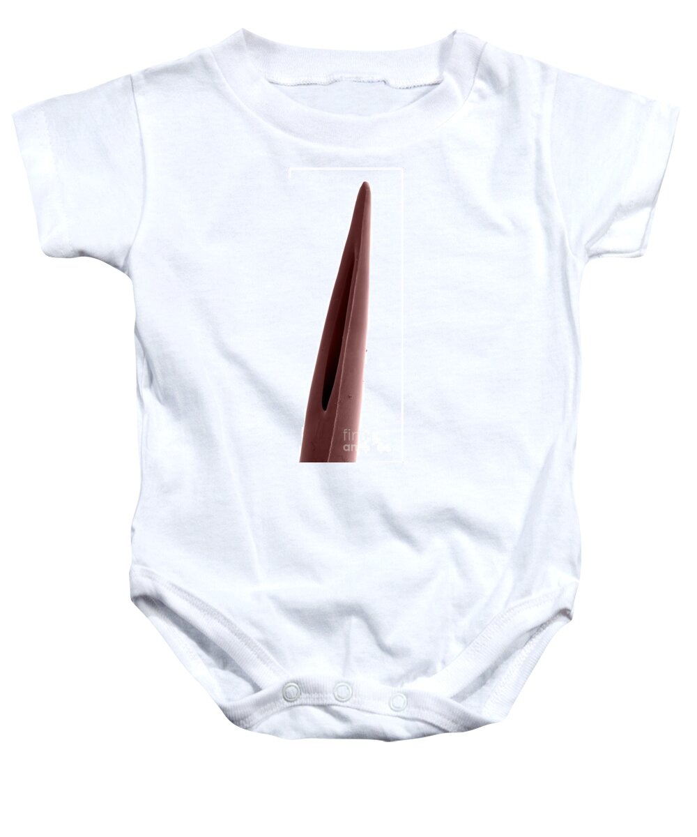 Sem Baby Onesie featuring the photograph Rattlesnake Fang, Sem #1 by Ted Kinsman