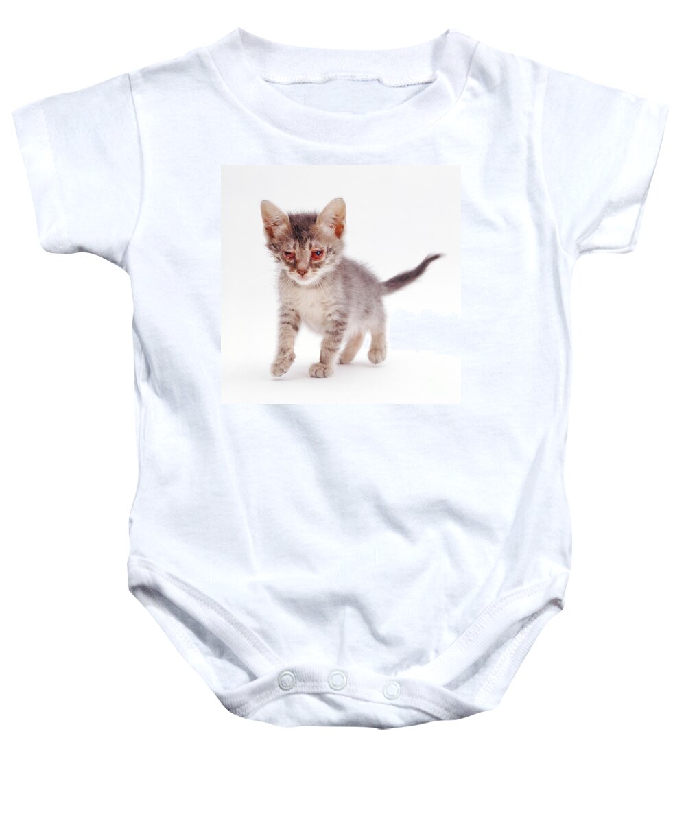 Bacterial Infection Baby Onesie featuring the photograph Kitten With Severe Conjunctivitis #2 by Jane Burton