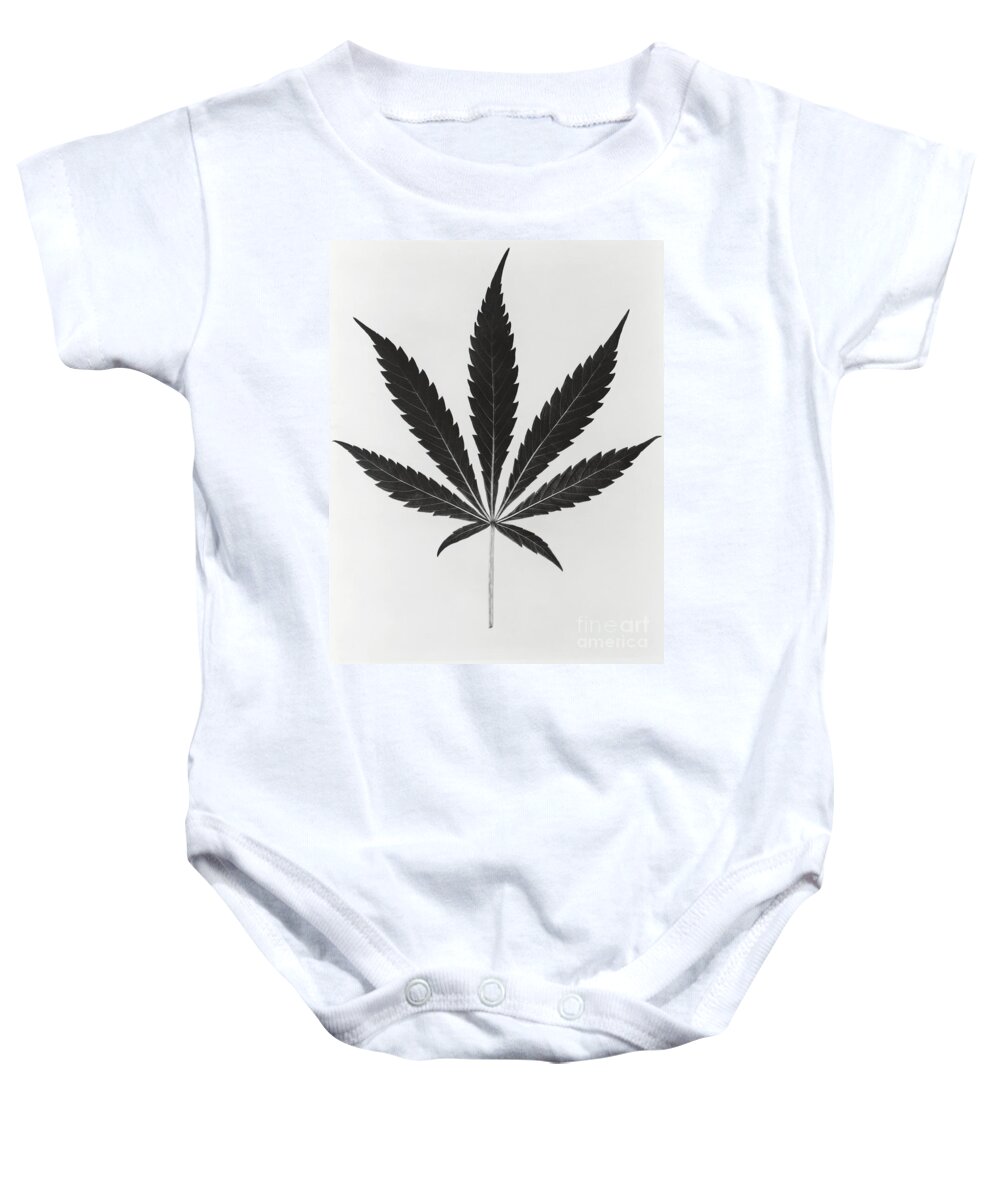 Plant Baby Onesie featuring the photograph Cannabis Sativa, Marijuana Leaf #3 by Science Source