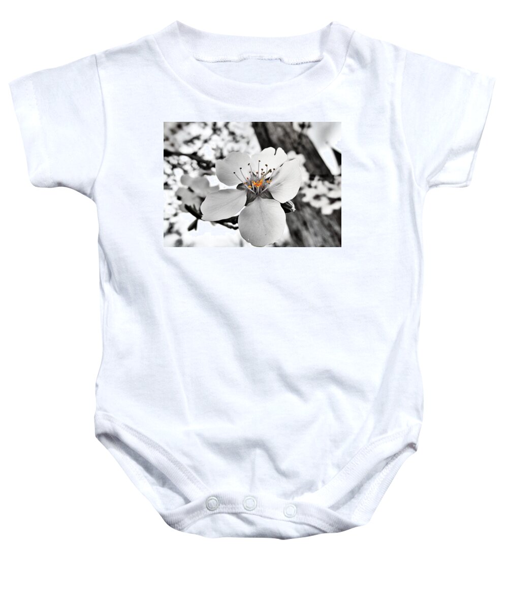 Almond Baby Onesie featuring the photograph Almond Blossom by Marianna Mills