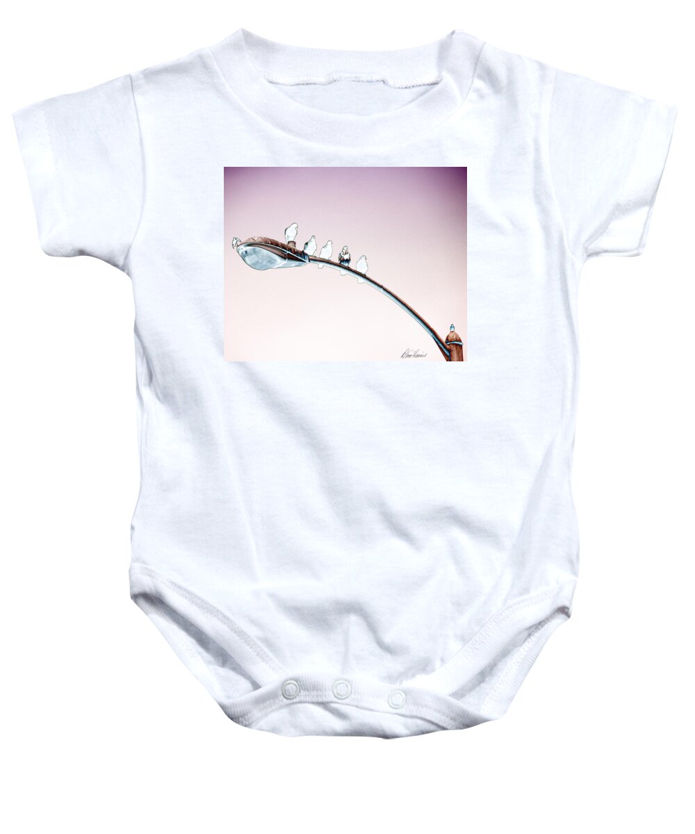 Birds Baby Onesie featuring the photograph Birds on a Streetlight by Diana Haronis