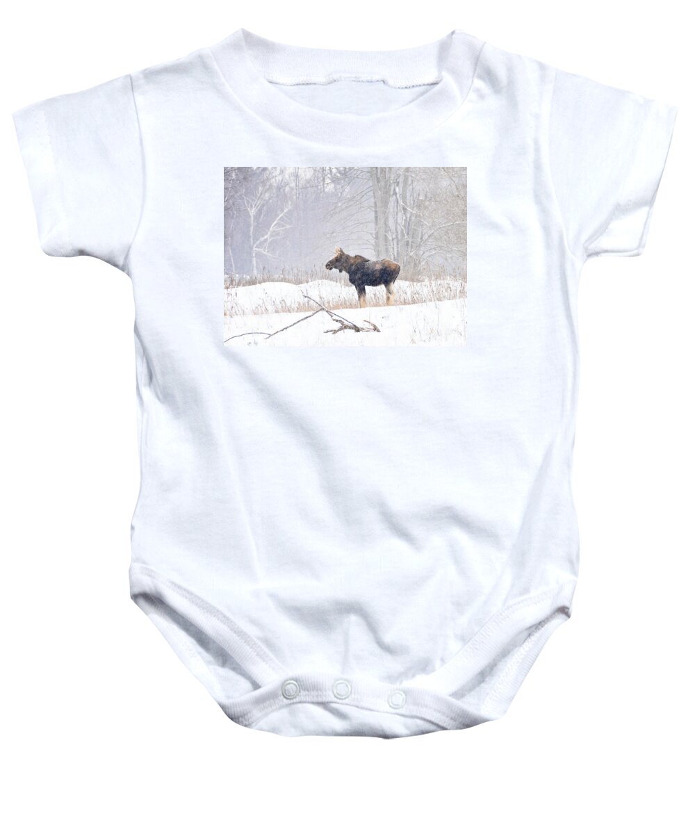 Moose Baby Onesie featuring the photograph Canadian Winter by Cheryl Baxter