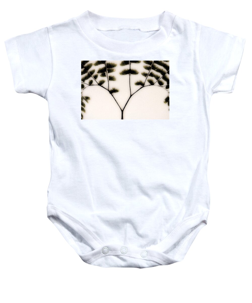 Dried Ferns Baby Onesie featuring the mixed media Eastern Influence Fern by Marie Jamieson