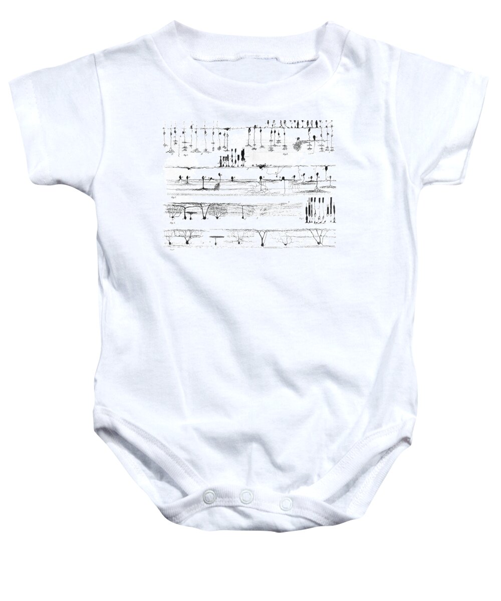 Science Baby Onesie featuring the photograph Nerve Structure Of The Retina by Science Source