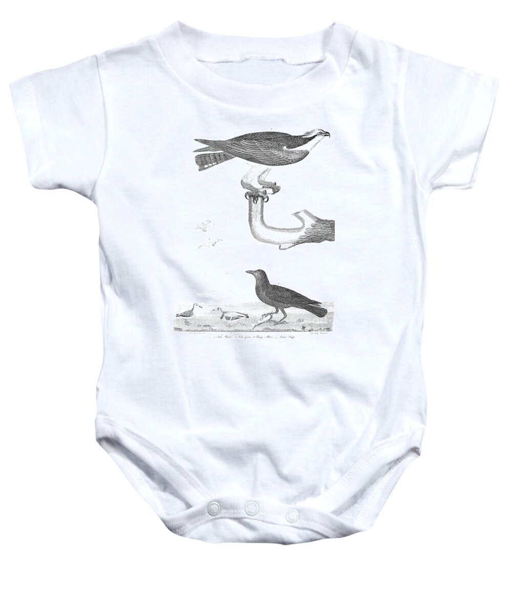 1810s Baby Onesie featuring the photograph Ornithology, 1808-1814 by Granger