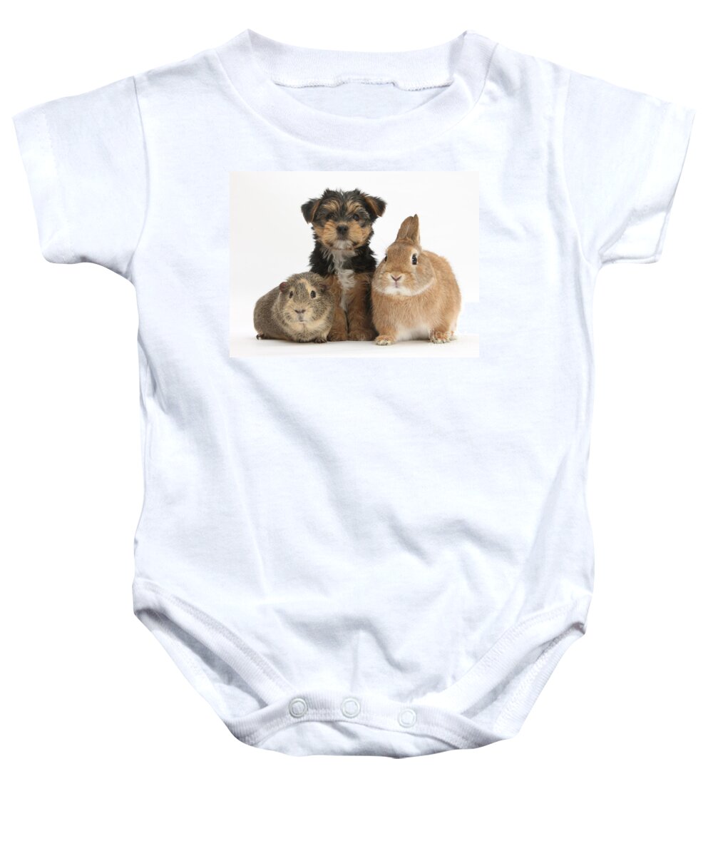 Nature Baby Onesie featuring the photograph Pup, Guinea Pig And Rabbit by Mark Taylor