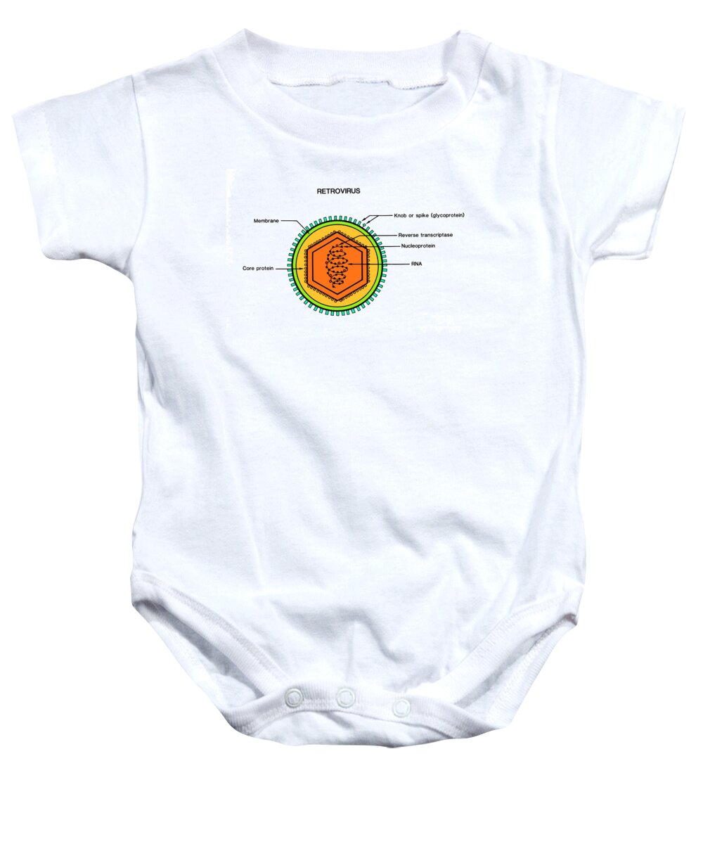 Science Baby Onesie featuring the photograph Retrovirus by Science Source