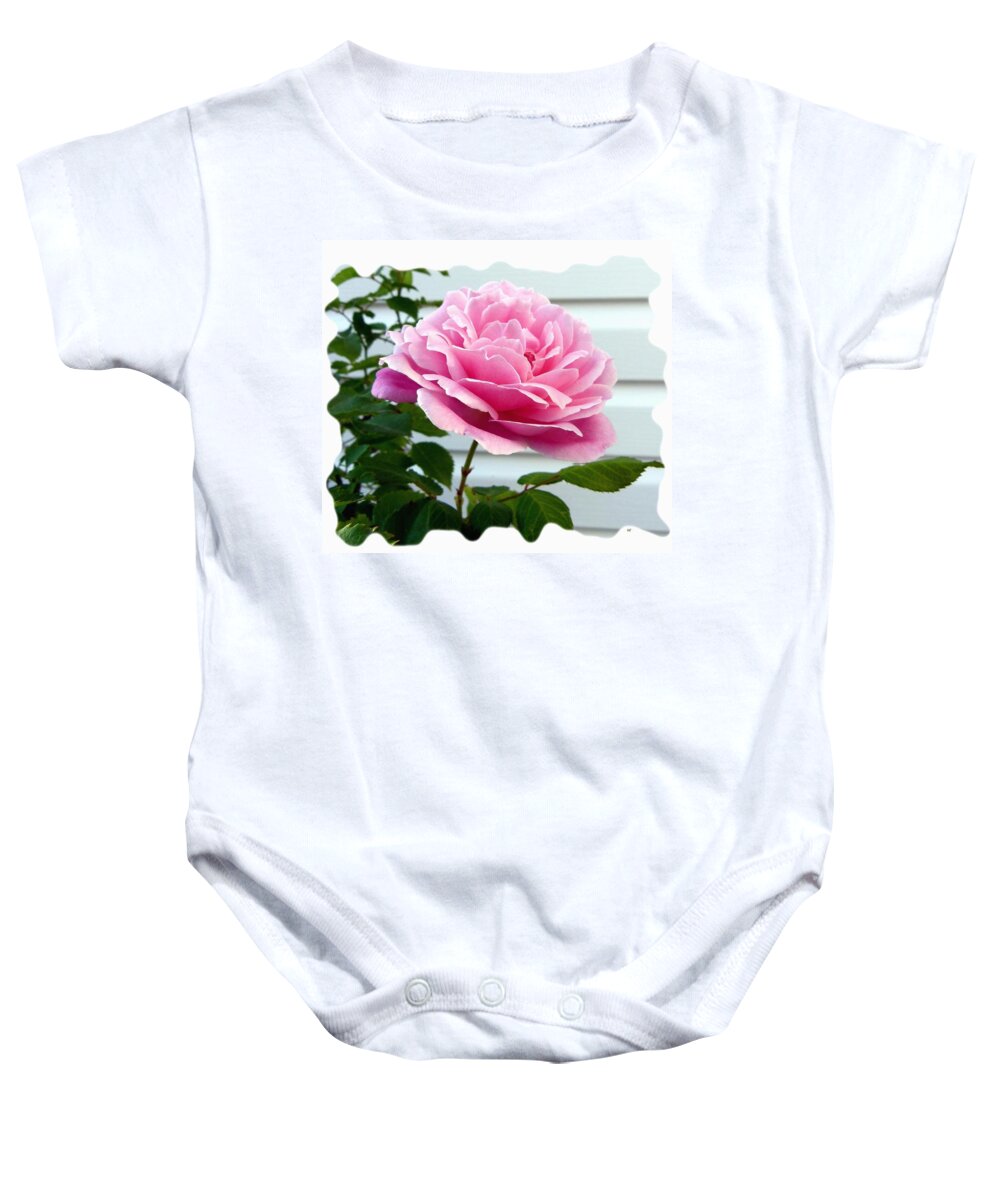 Royal Kate Rose Baby Onesie featuring the photograph Royal Kate Rose by Will Borden