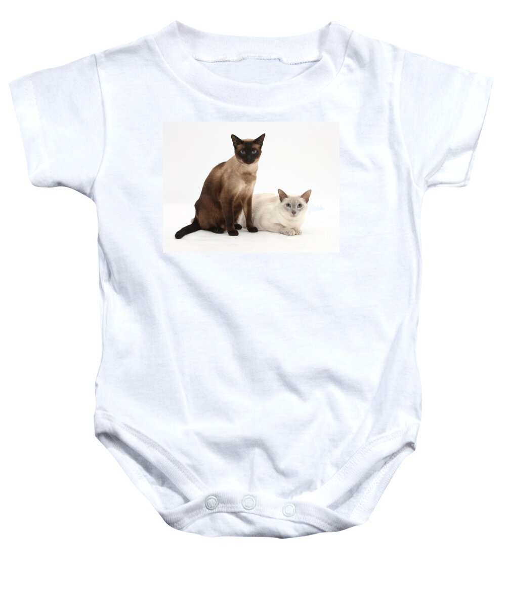 Siamese Baby Onesie featuring the photograph Siamese Cats by Mark Taylor