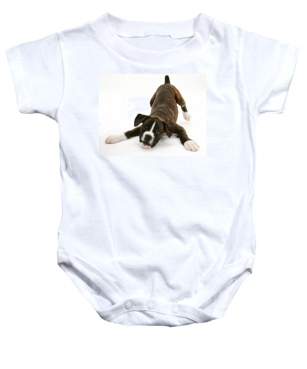 Dog Baby Onesie featuring the photograph Brindle Boxer Pup #1 by Jane Burton
