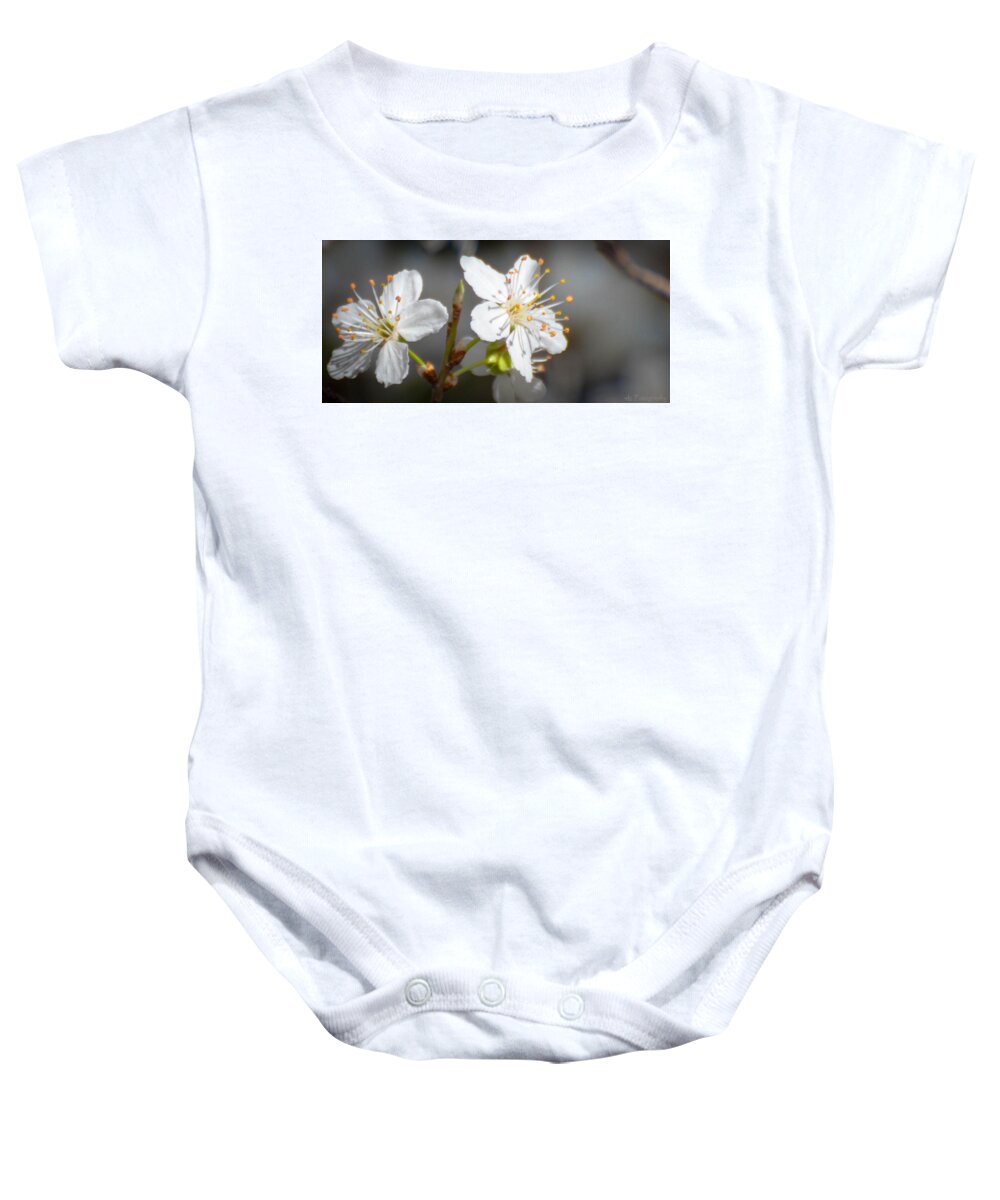 Flowers Baby Onesie featuring the photograph Cherry Blossoms #1 by Wendy Carrington