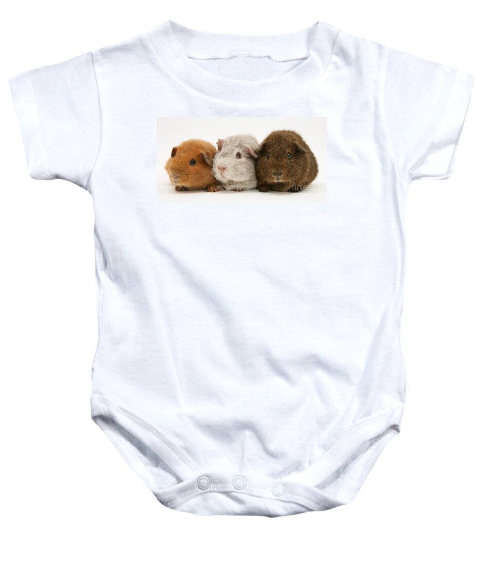 Animal Baby Onesie featuring the photograph Guinea Pigs #1 by Jane Burton