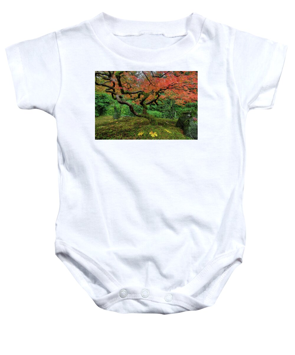 Japanese Garden Baby Onesie featuring the photograph Japanese Maple Tree in Autumn #1 by David Gn
