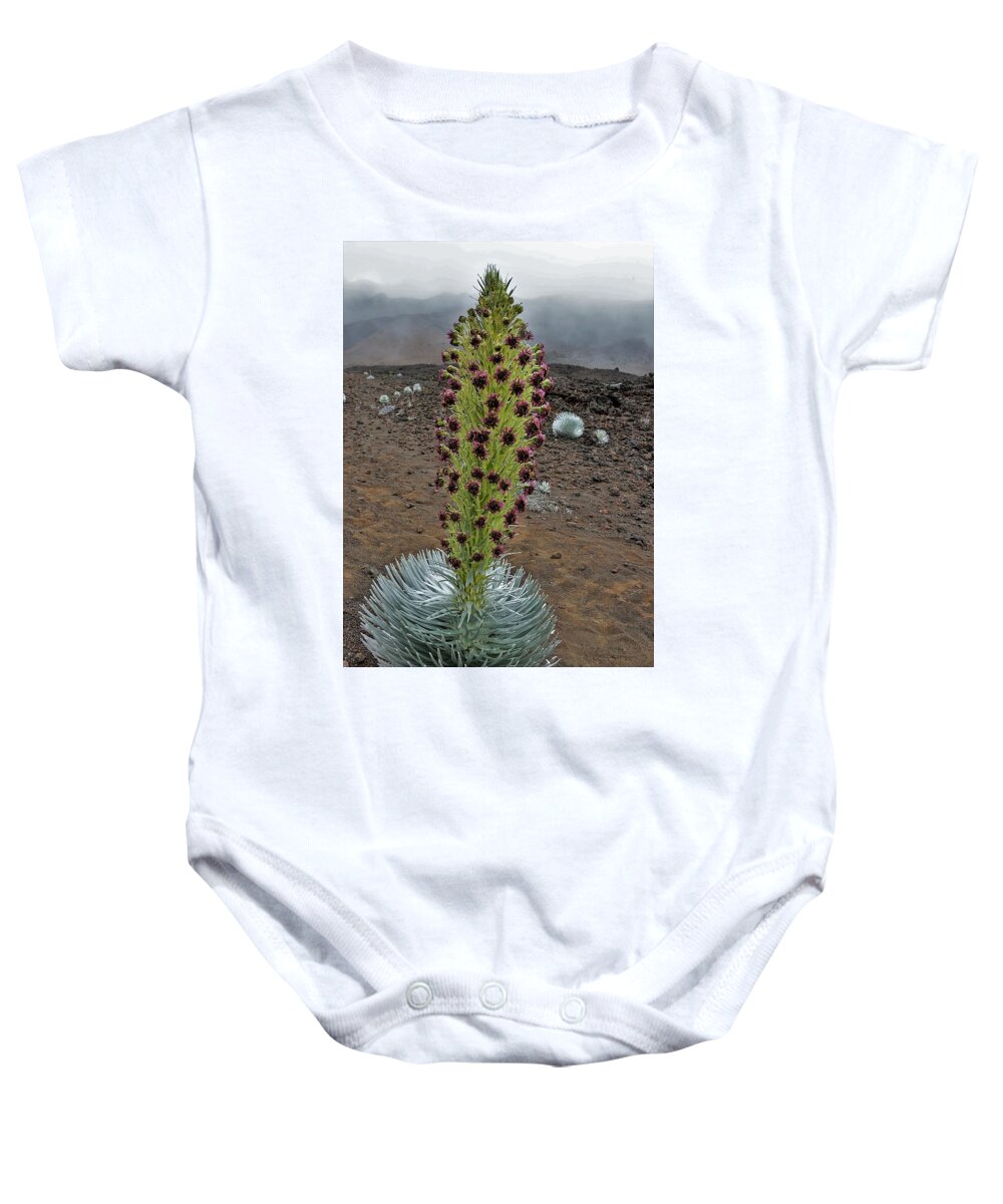 Maui Silversword Baby Onesie featuring the photograph Maui Silversword #1 by Heidi Fickinger