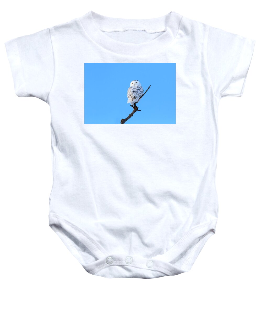 Rural Baby Onesie featuring the photograph Snowy Owl #1 by Gary Hall