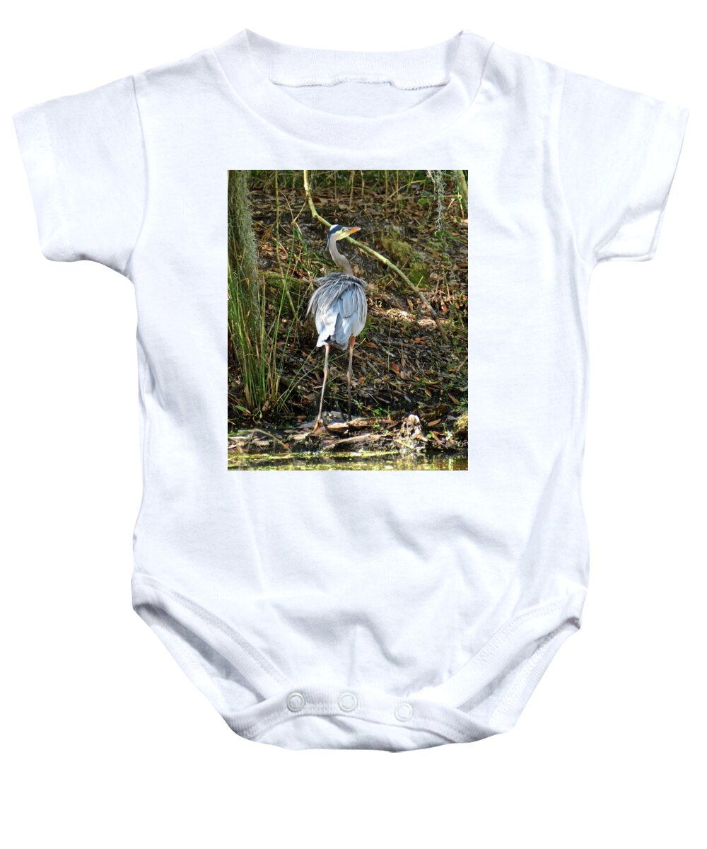 Nature Baby Onesie featuring the photograph Sunlight and Shadows #1 by Carol Bradley