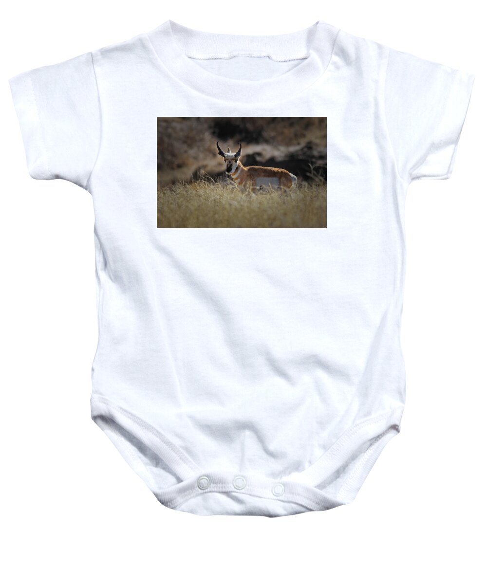Antelope Baby Onesie featuring the photograph The Antelope #1 by Ernest Echols