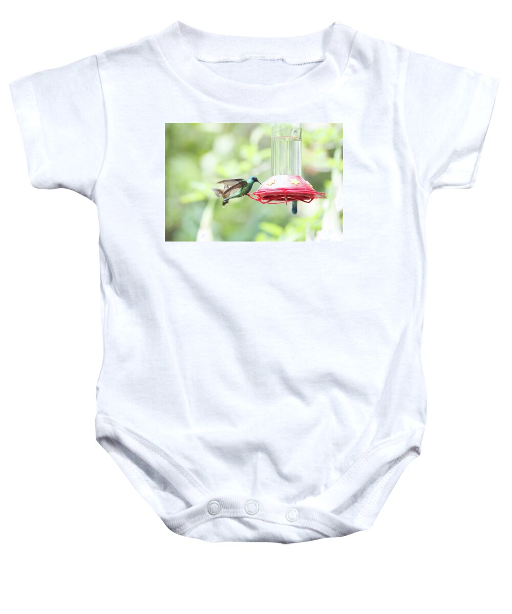 Animals Baby Onesie featuring the digital art Hummingbirds #11 by Carol Ailles
