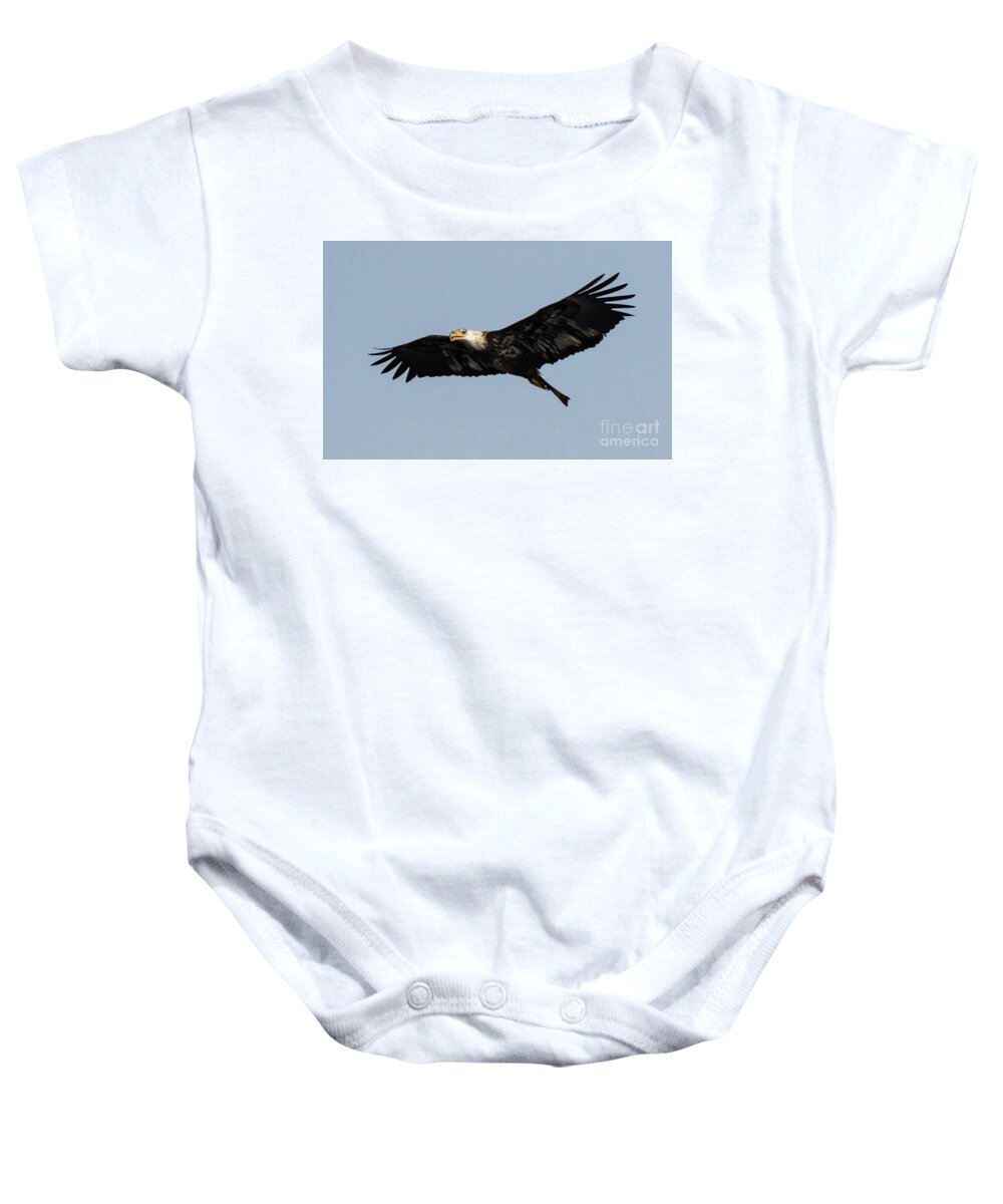 Eagle Baby Onesie featuring the photograph Eagle #2 by Brenda Gray
