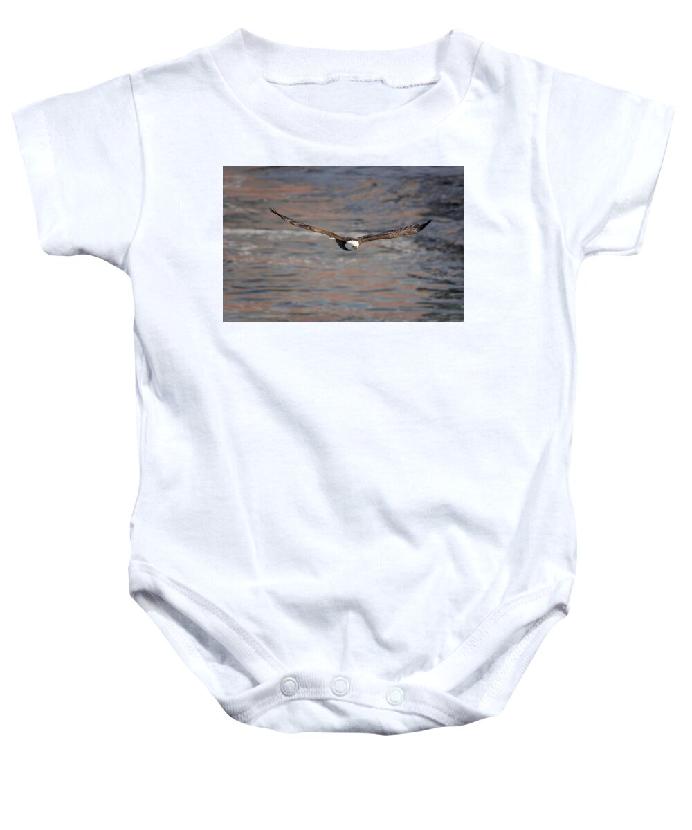 Illinois Baby Onesie featuring the photograph Bald Eagle #21 by Peter Lakomy