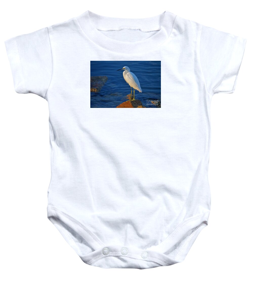 Snowy Egret Baby Onesie featuring the photograph 28- Snowy Egret by Joseph Keane
