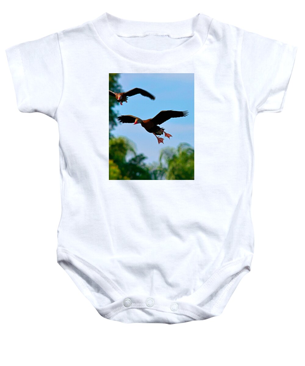 Birds Baby Onesie featuring the photograph 3 D by Alison Belsan Horton