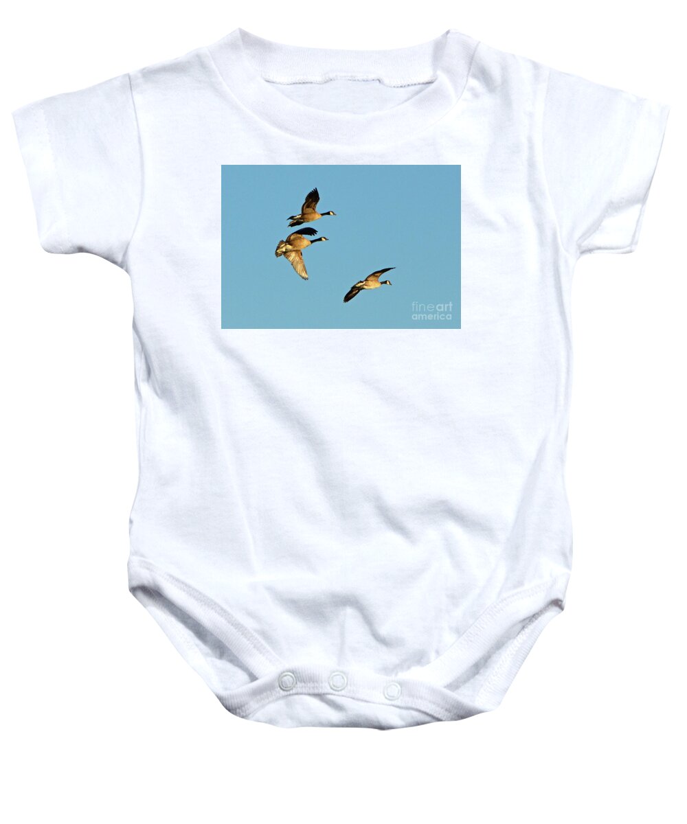 3 Geese Baby Onesie featuring the photograph 3 Geese in Flight by Cindy Schneider