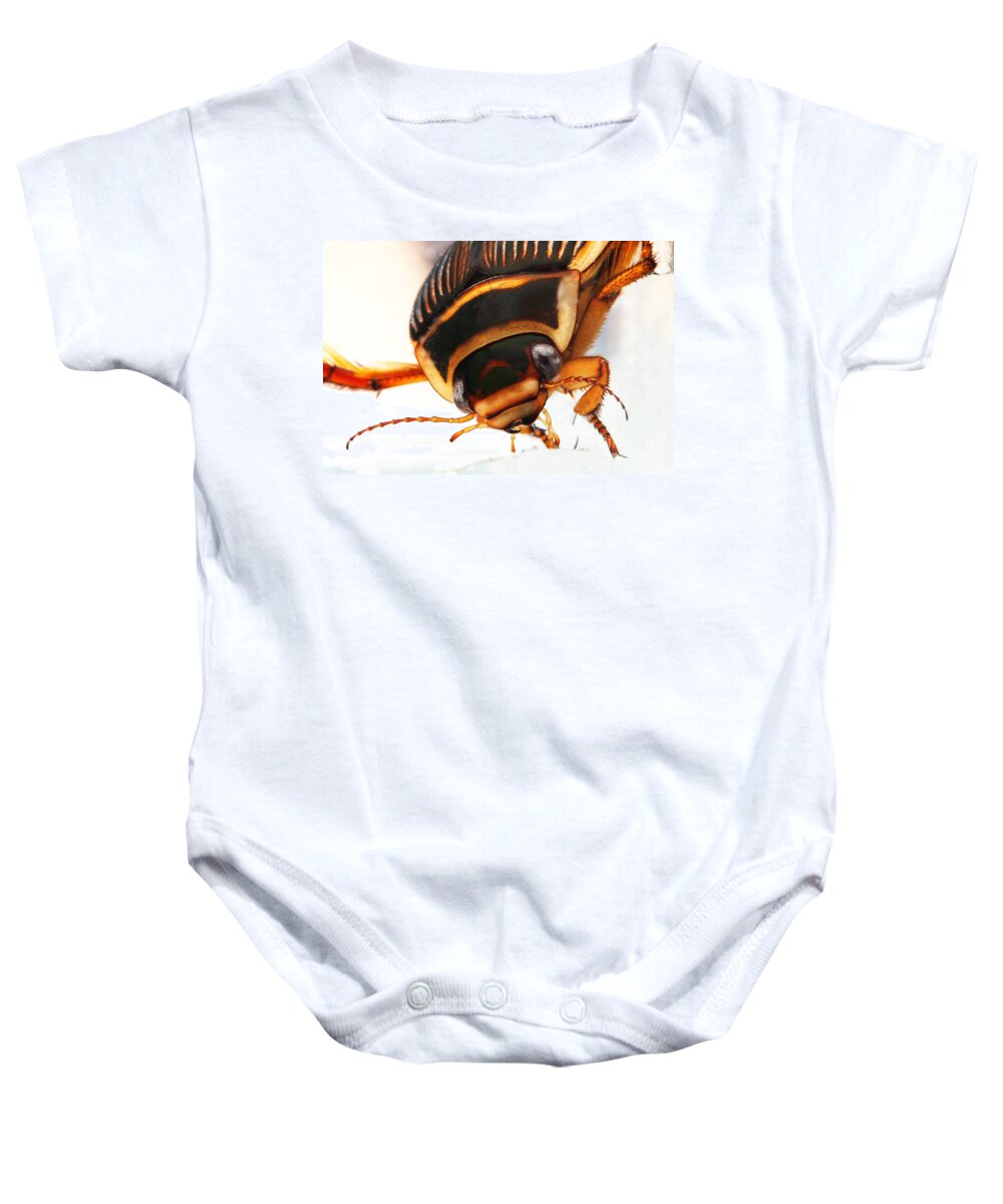 Adult Baby Onesie featuring the photograph Great Diving Beetle Dytiscus Marginalis #3 by Gerard Lacz