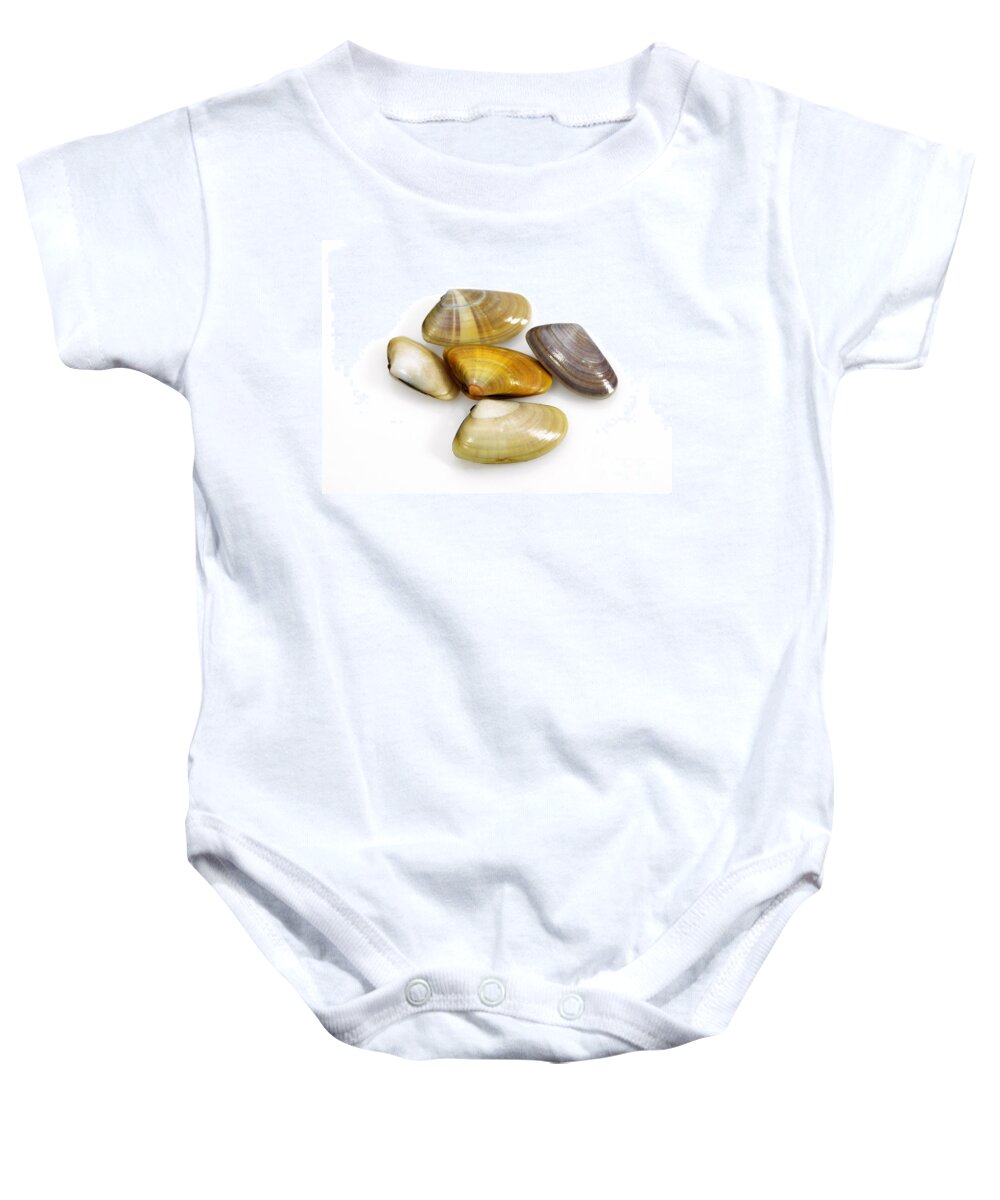Animal Baby Onesie featuring the photograph Wedge Shell Donax Trunculus #3 by Gerard Lacz